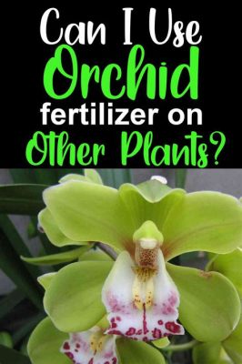 Can I Use Orchid Fertilizer on Other Plants? Exploring the Possibilities and Implications