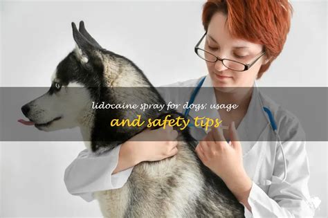 Can You Use Lidocaine Spray on Dogs? Exploring the Myths and Realities of Canine Anesthesia