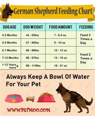 How Much to Feed a German Shepherd Puppy by Weight: A Comprehensive Guide to Nourishing Your Growing Companion