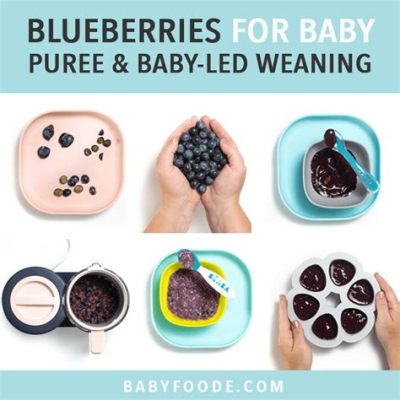 How to Feed Blueberries to Baby: Exploring the Whimsical World of Tiny Fruits and Tiny Humans