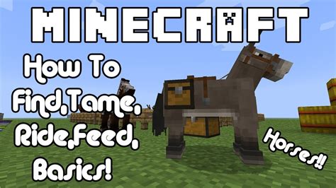 What to Feed Horses in Minecraft and Why They Might Prefer a Side of Rainbows